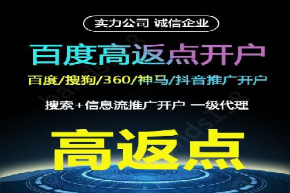 百度推广费用案例：成功案例分析及启示